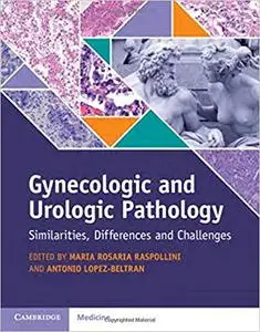 Gynecologic and Urologic Pathology Similarities, Differences and Challenges