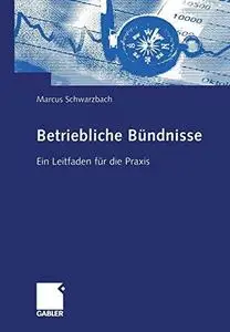 Betriebliche Bündnisse: Ein Leitfaden für die Praxis