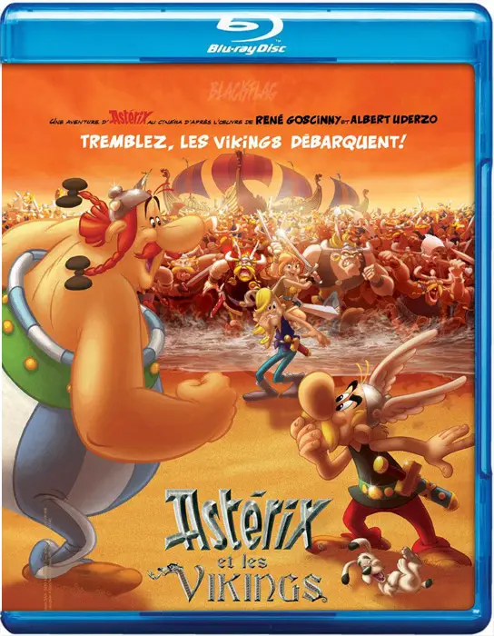 asterix and the vikings subtitles