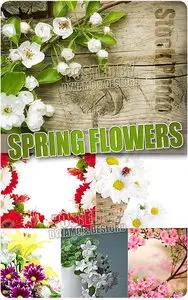 Spring Flowers 7 - UHQ Stock Photo