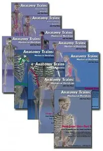 Anatomy Trains - Myofascial Meridians: Set of 10 DVD's - Complete