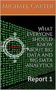 What everyone should know about big data and big data analytics: Report 1