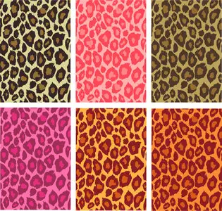 Leopard Pattern