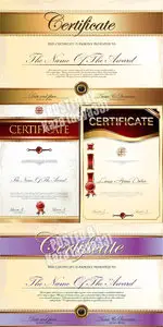 Certificate vector 31