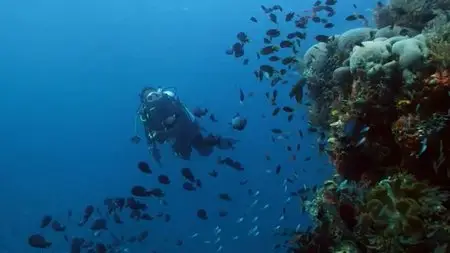 BBC - Earth's Natural Wonders: Living on the Edge (2015)