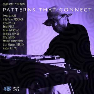 Eivin one Pedersen - Patterns That Connect (2024) [Official Digital Download]