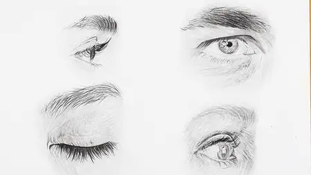 Drawing Made Clear: Portraits And The Human Figure
