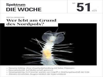 Spektrum Die Woche - 19 Dezember 2024