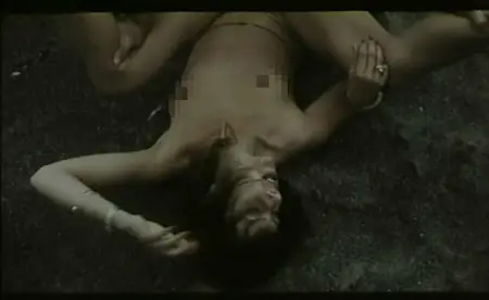 A Debauched Summer / Ein lasterhafter Sommer (1982)