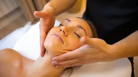 Lymphatic Drainage Techniques Certificate Course (3 Ceu)