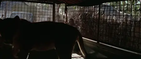 Born Free (1966)