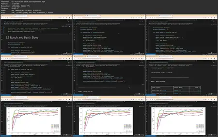 Deep Learning: Model Optimization and Tuning [Released: 11/6/2025]