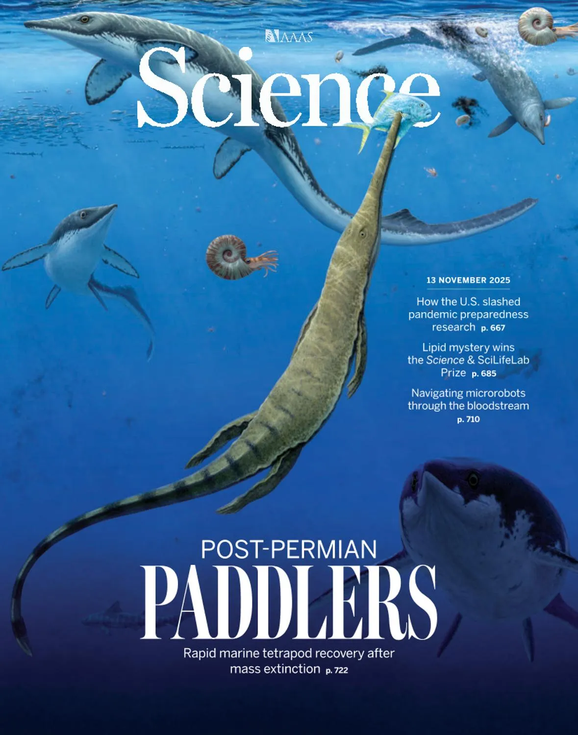 Science - November 13, 2025