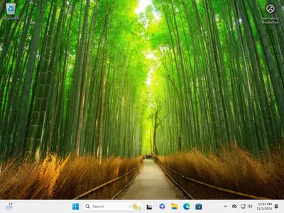 Windows 11 AIO 16in1 24H2 Build 26100.2161 (No TPM Required) Multilingual Preactivated