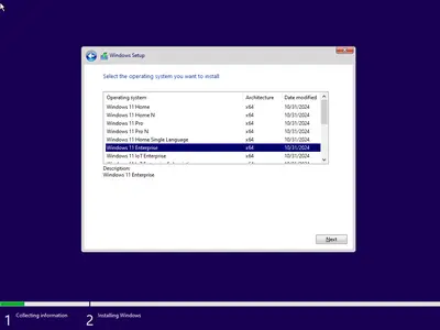 Windows 11 AIO 16in1 24H2 Build 26100.2161 (No TPM Required) Multilingual Preactivated