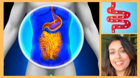 Gut Health for Auto Immune Issues and Thyroid Function