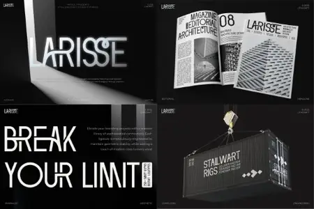 Larisse - Luxurious Futuristic Display Typeface