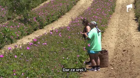 Press S04E13