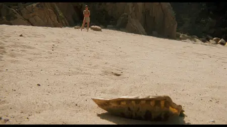 The Black Stallion (1979)