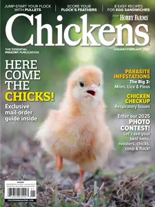 Chickens - January-February 2025