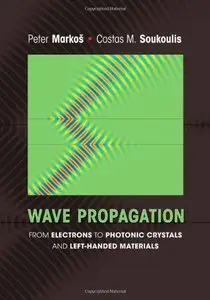 Wave Propagation: From Electrons to Photonic Crystals and Left-Handed Materials (repost)