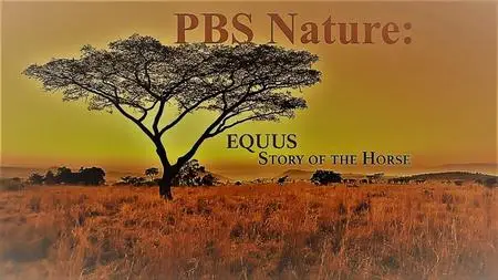 PBS - Nature: Equus Story of the Horse (2019)