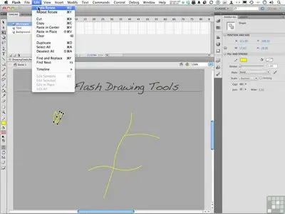 Learning Adobe Flash CS5.5 Video Training
