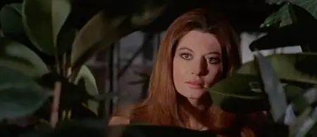 La bestia uccide a sangue freddo / Slaughter Hotel (1971)