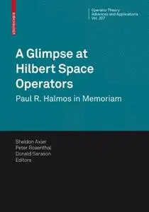 A glimpse at Hilbert space operators: Paul R. Halmos in memoriam