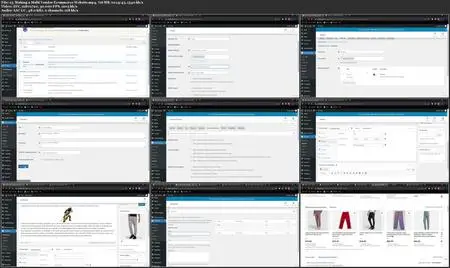Advanced Wordpress Course for Professionals