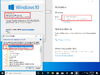 Windows 10 Enterprise 20H2 10.0.19042.804 (x86/x64) With Office 2019 Pro Plus Preactivated Multilingual February 2021