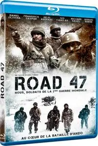 Road 47 (2013)