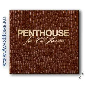 VA - Penthouse - La Nuit Luxure (2007)