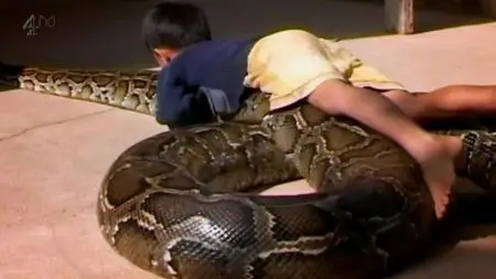 Ch4 Inside Natures Giants - Monster Python (2010)