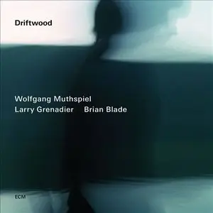 Wolfgang Muthspiel / Larry Grenadier / Brian Blade - Driftwood (2014) [Official Digital Download 24bit/96kHz]