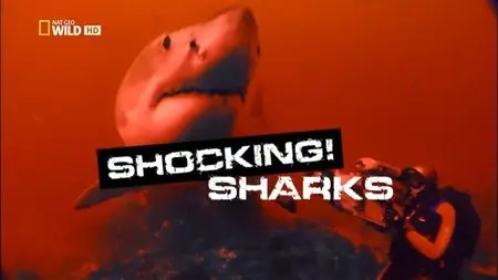 National Geographic - Shocking Sharks (2014)