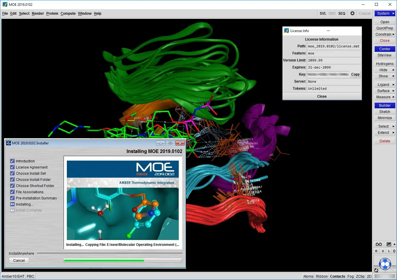 molecular operating environment installation guide