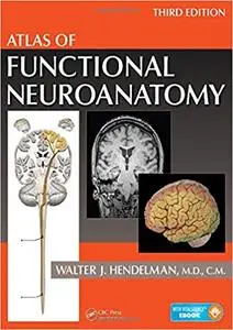 Atlas of Functional Neuroanatomy (Repost)