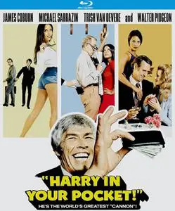 Harry in Your Pocket (1973)