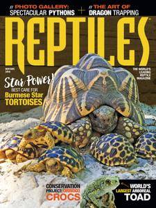 Reptiles - November 2016