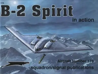 Aircraft Number 178: B-2 Spirit in Action (Repost)