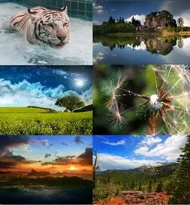 Nature HD Wallpapers Pack 37