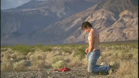 Destricted - 2006