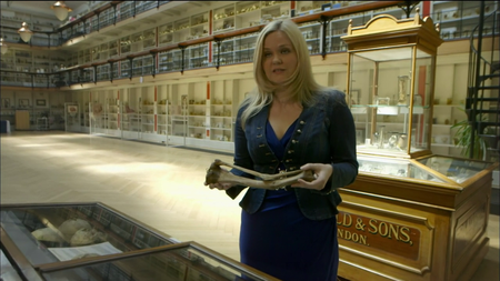 PBS - Secrets of the Dead: Ben Franklins Bones (2015)