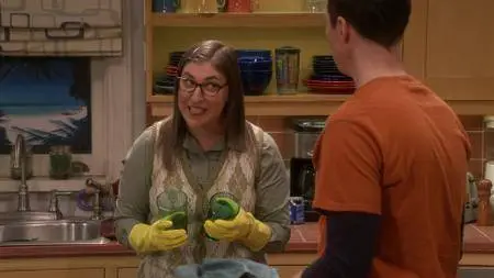 The Big Bang Theory S01E17