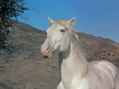 The Outlaw Stallion (1954)