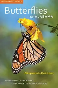 Butterflies of Alabama: Glimpses into Their Lives