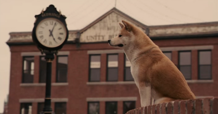 Hachiko: A Dog's Story (2009)