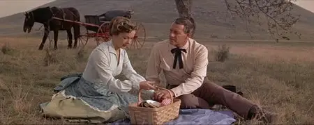 Wichita (1955)