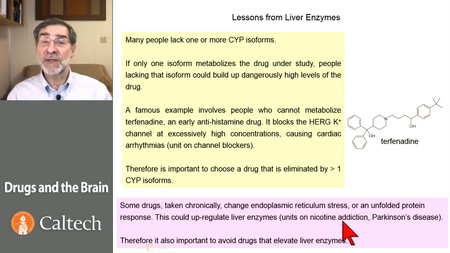 Coursera - Drugs and the Brain [repost]
